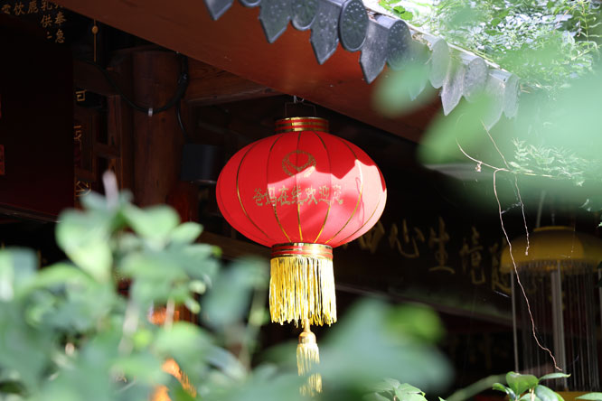 1754183786154484.jpg 4R6A9966.jpg